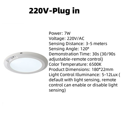 Magnetic Motion Sensor Ceiling Light with Remote